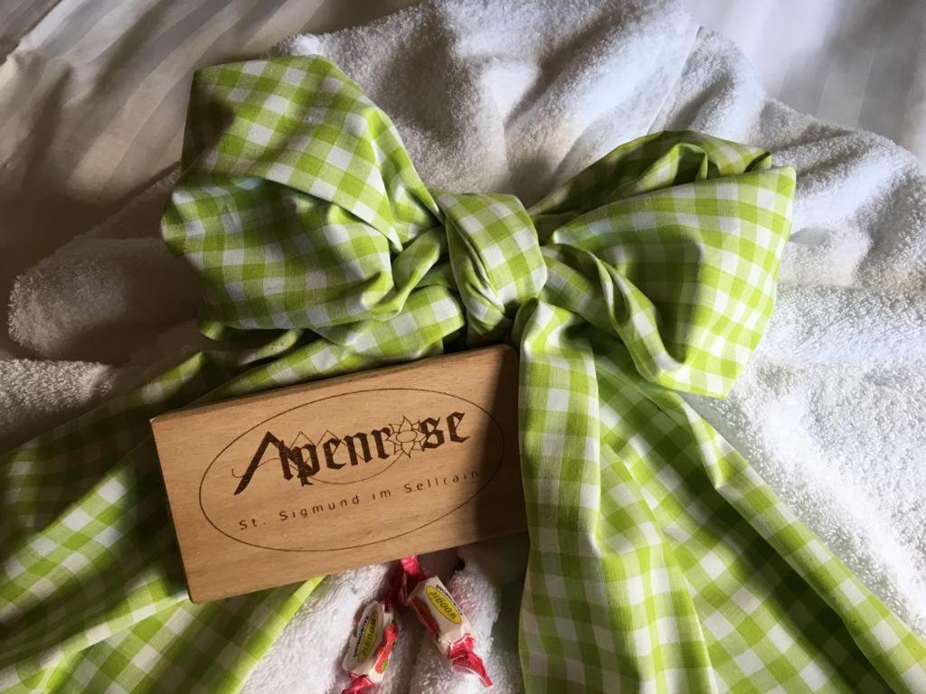 Pension Alpenrose Sankt Sigmund im Sellrain المظهر الخارجي الصورة
