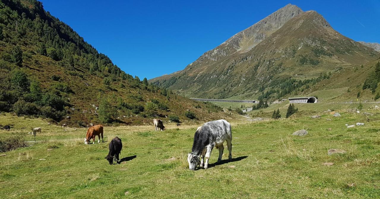 Pension Alpenrose Sankt Sigmund im Sellrain المظهر الخارجي الصورة